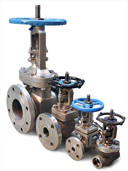 Low Temp forged valves